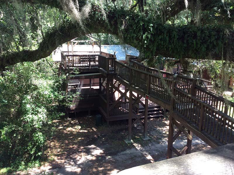 فندق Isabelفي  Berry Creek Cabins المظهر الخارجي الصورة